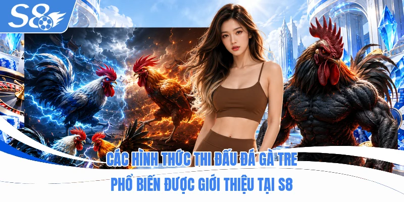 Các hình thức thi đấu gà tre phổ biến được giới thiệu tại S8