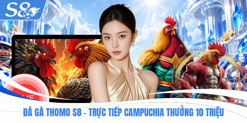 Đá Gà Thomo S8 - Trực Tiếp Campuchia Thưởng 100 Triệu