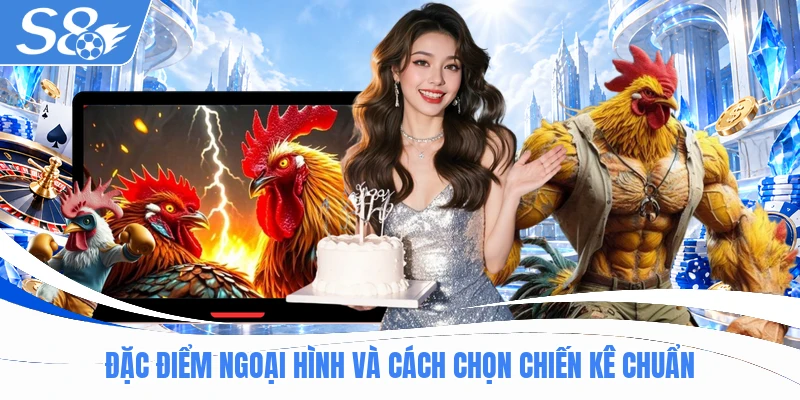 Đặc điểm ngoại hình và cách chọn gà tre đá chiến kê chuẩn