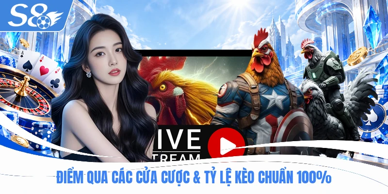 Điểm qua các cửa cược & tỷ lệ kèo chuẩn 100%