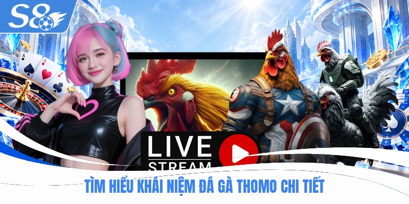Tìm hiểu khái niệm đá gà Thomo chi tiết